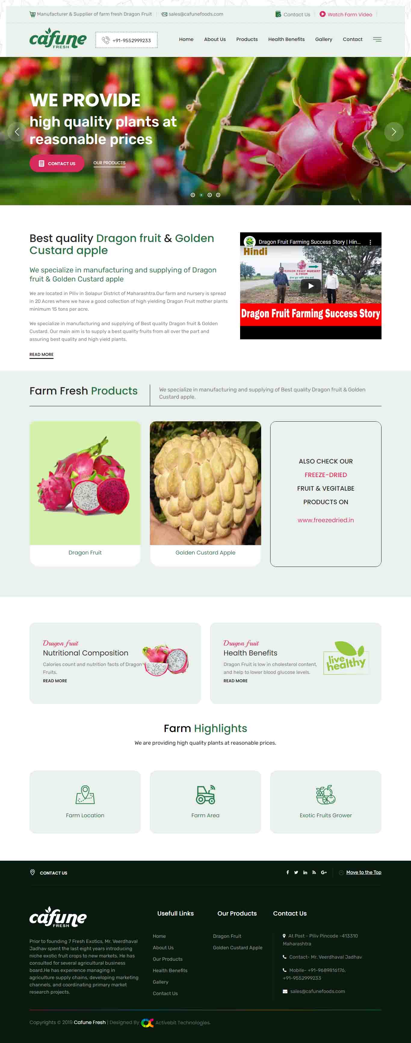 Cafune Fresh website development