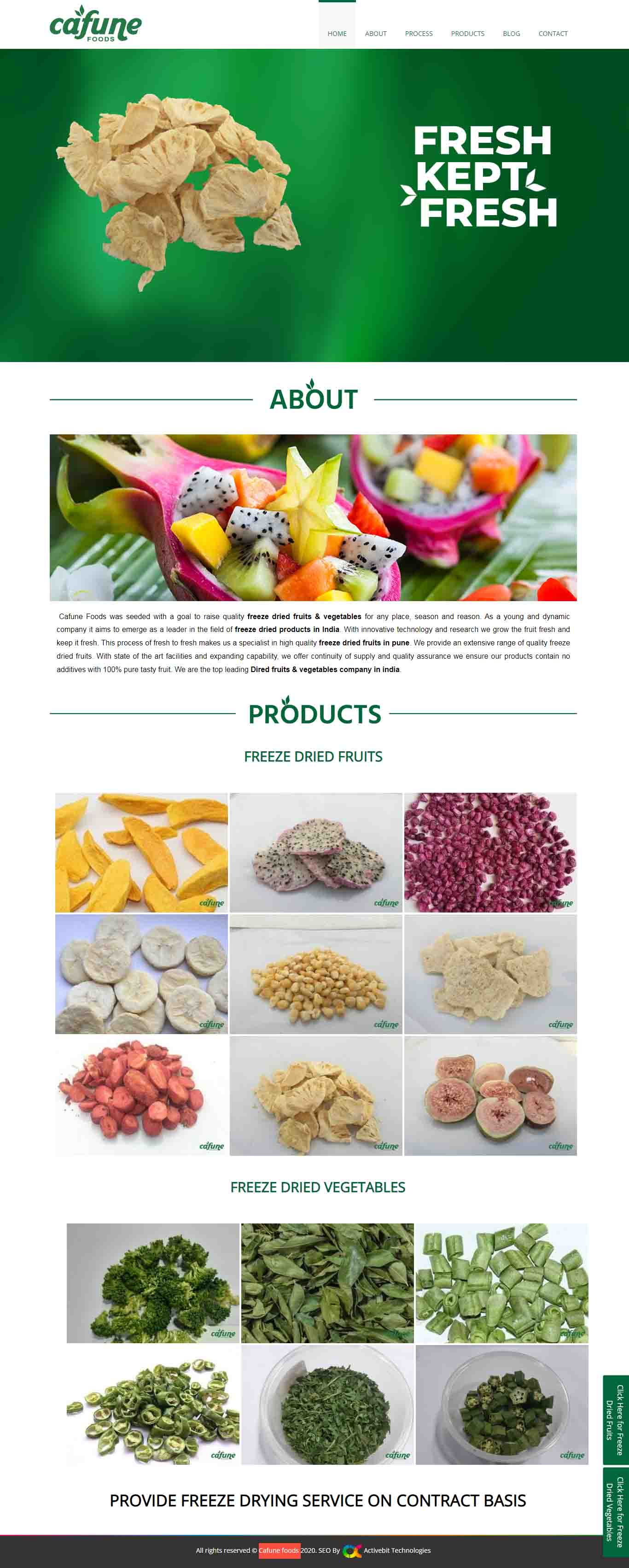 Cafune foods  web design & SEO services