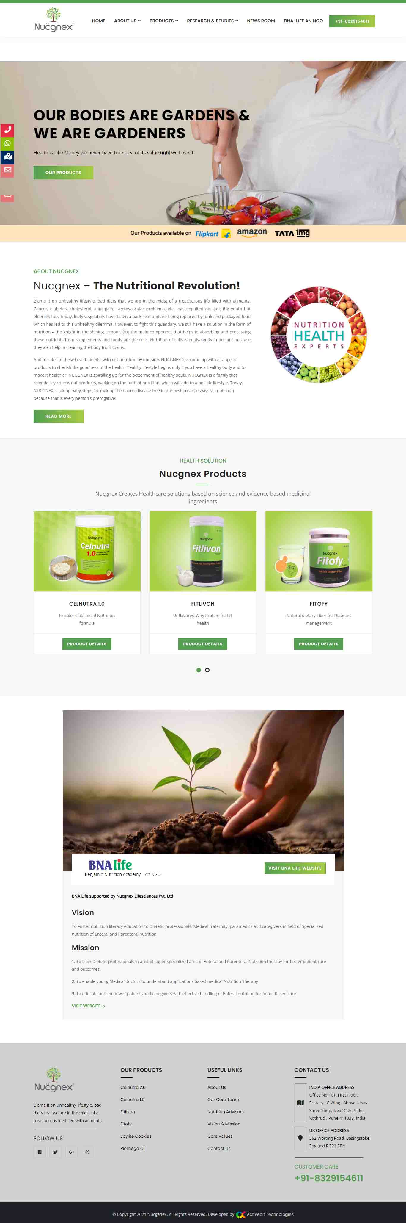 Nucgnex Lifesciences website design services