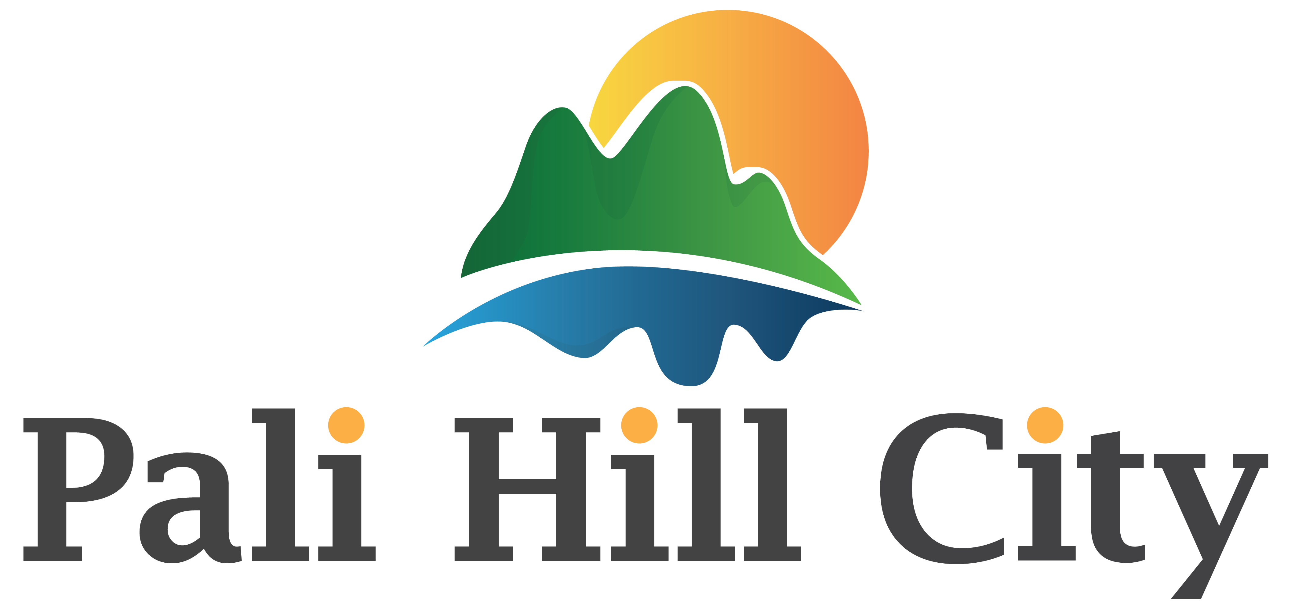 Pali hill city SEO portfolio